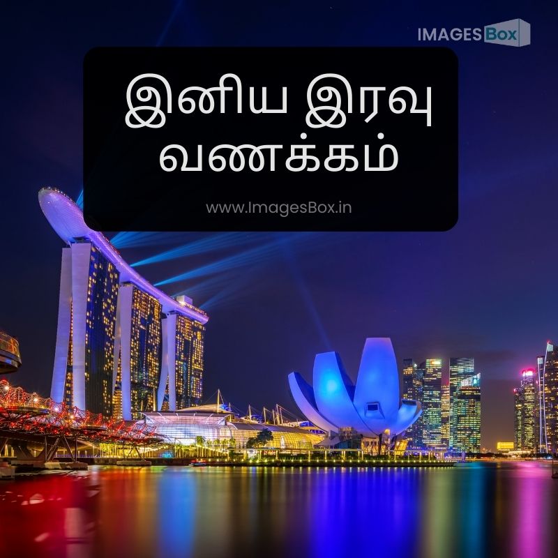 Spectra Light and Water Show Marina-good night images in tamil