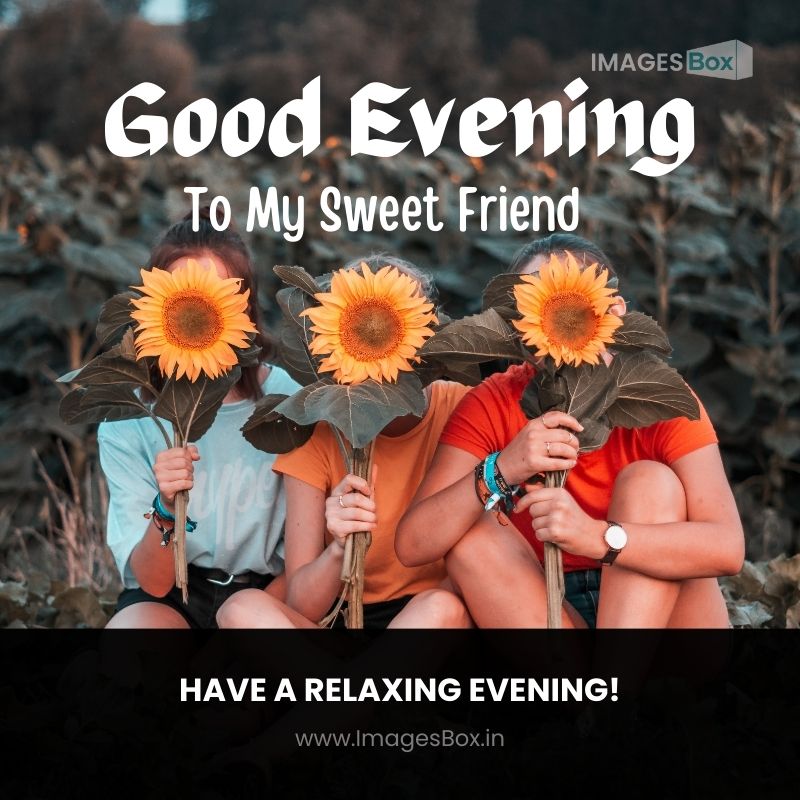 Three Women Holding Sunflowers good evening image