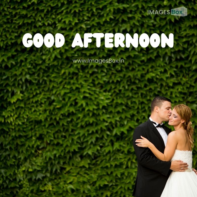 Young Wedding Couple Good Afternoon photo